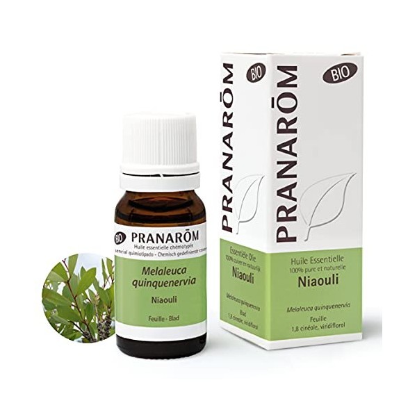 Pranarôm Niaouli Bio Huile Essentielle Melaleuca quinquenervia Feuille HECT 10 ml