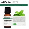 BIO - Huile essentielle MENTHE POIVRÉE - 10mL - 100% Pure, Naturelle, Chémotypée et Certifiée AB - AROMA LABS Marque Françai