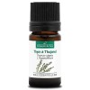 THYM A THUJANOL BIO - 5mL - Huile Essentielle de Qualité Premium - 100% Pure, Naturelle, Intégrale et Chémotypée