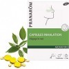 PRANARÔM - Aromaforce - Capsules Inhalation - Aux Huiles Essentielles - Pour des Voies Respiratoires libres - 100% Bio - 15 M