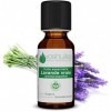 Huile Essentielle de Lavande Vraie Lavandula angustifolia - 100% Pure et Naturelle - HEBBD - Idéal en Diffusion - Utilisati