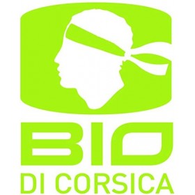 Huile dimmortelle Corse 50ml. Prête à lemploi, macérât de fleurs riche en huile essentielle dimmortelle Bio.