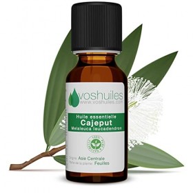 Huile Essentielle de Cajeput - 10ml