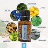 doTERRA Breathe Essential Oil Blend 15 ml by doTERRA