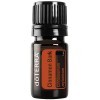 doTERRA Cinnamon Essential Oil 5 ml by doTERRA