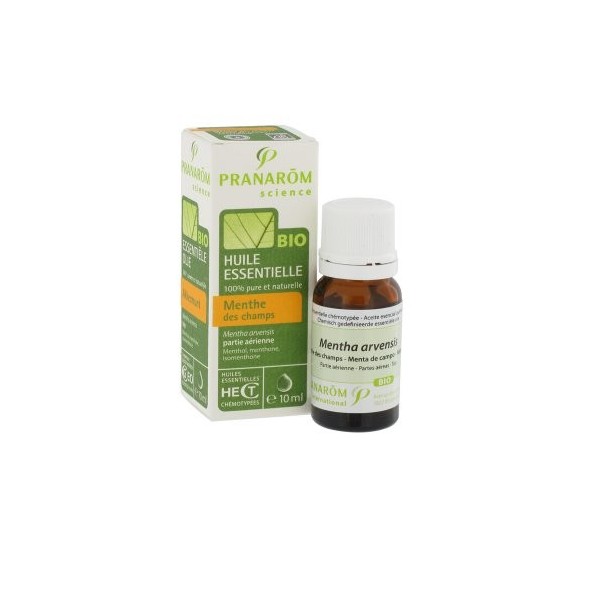 Pranarôm Huile Essentielle Menthe des Champs Mentha arvensis Bio 10 ml