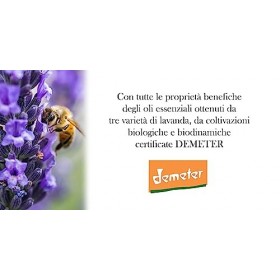 FLORA Merveille Bleu Huile Essentielle Lavande hybride BIO 5L ml ITCDX Harmonisant rafraîchissant et purifiant - Arôme alimen