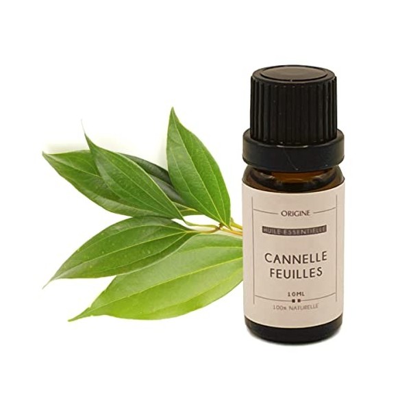 Origine.bio - Huiles Essentielle Cannelle Feuille 10 ml, Français | 100% Naturelle Pure Huile Essentielle Cannelle Feuille de