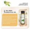 EUQEE Huile Essentielle Tea Tree 10ml, 100% Pure Huile de Arbre à Thé Bio, Naturelles Huiles Essentielles pour Diffuseur, Aro