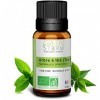 Huile Essentielle Arbre à thé Tea Tree Bio - 10ml