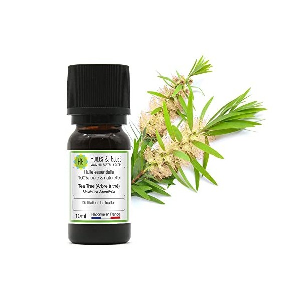 Huile essentielle bio arbre à thé Puressentiel, flacon de 10 ml