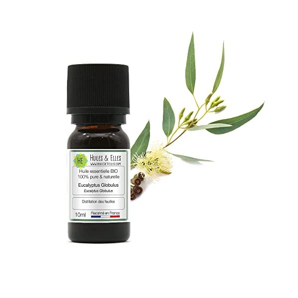 Huiles & Elles - Huile Essentielle Eucalyptus Globulus Bio* 100% Pure & Naturelle - 10ml