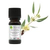 Huiles & Elles - Huile Essentielle Eucalyptus Globulus Bio* 100% Pure & Naturelle - 10ml