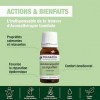 PRANARÔM - Lavande Vraie - Huile Essentielle Chémotypée - Sommeil & Équilibre Émotionnel - 100% Pure Et Naturelle - HECT - 10