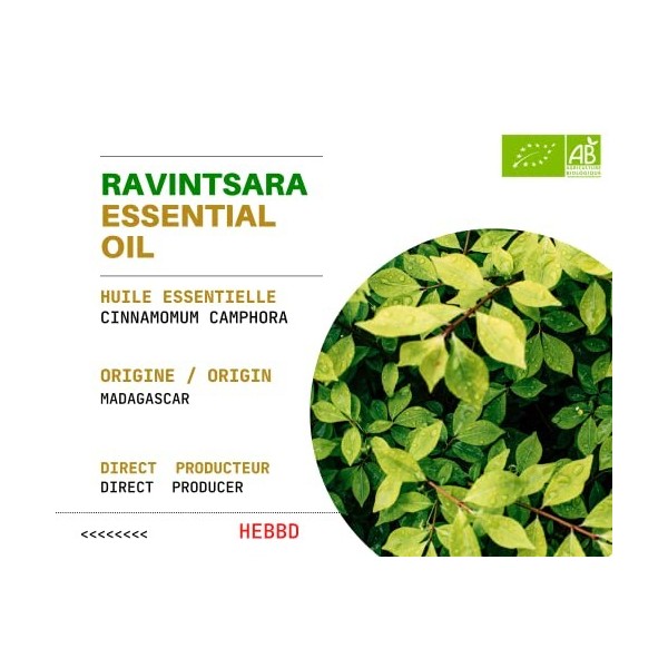 RAVINTSARA - 1Litre - Huile Essentielle de Ravintsara Bio - 100% Pure et Naturelle - Chémotypée et Certifiée AB - Comptoir 