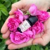 Huile Essentielle de Rosa De Damas 5ml - Naturelle De Qualité Exceptionnelle Dans Une élégante Boîte Avec Flacon Et Compte Go