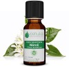 Huile Essentielle de Néroli - 10ml