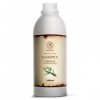 Huile Essentielle dEucalyptus 1000ml - 1L - Eucalyptus Globulus - Les Huiles Essentielles dAromathérapie - Huile dEucalypt