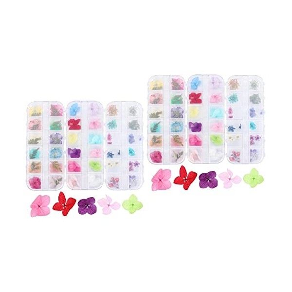 WINOMO 6 Boîtes Pressées à Fleurs Stickers à Ongles à Fleurs Séchées Nail Art pour Résine Nail Art 3Dnail Stickers Nail Art F