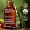 Gya Labs USDA Huile de Jojoba Bio pour la Peau - 100% Vegan & Pure Huile de Jojoba Bio Pressée à Froid pour la Croissance des