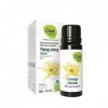 OAK ORGANIC Pour NATUREL Huile Essentielle Ylang-ylang Pure 10ML - Complément alimentaire Bio & Vegan