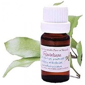 Huile Essentielle HEBBD de Ravintsara Ravintsare 10ml 