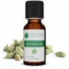 VOSHUILES - Huile Essentielle de Cardamome 2ml - 100% Pure et Naturelle - Parfum Puissant et Épicé - Idéale en Diffusion - Cr