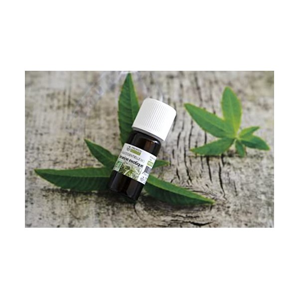 Huile essentielle de Verveine exotique Bio - Litsea cubeba seed oil - 10ml - PROPOSNATURE Lot de 2 