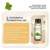 EUQEE Huile Essentielle Patchouli 10ml, Patchouli Huiles Essentielles 100% Pures Naturelles, Huile Essentielle pour Diffuseur