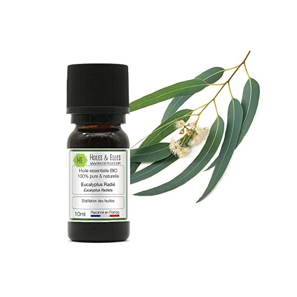 Huiles & Elles - Huile Essentielle Eucalyptus Radié Bio* 100% Pure & Naturelle - 10ml