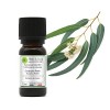 Huiles & Elles - Huile Essentielle Eucalyptus Radié Bio* 100% Pure & Naturelle - 10ml