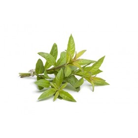 Florabiol - Huile Essentielle de Litsée Citronnée - Détend et Diminue l’Anxiété - Lutte Contre les Troubles du Sommeil - Cont