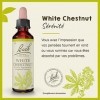 Fleurs de Bach Original, White Chestnut, No 35, pour plus de sérénité, aide à se libérer des pensées obsédantes. Elixir flora