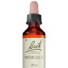 Fleurs de Bach Original, Mimulus, No 20, pour plus de confiance, aide à surmonter une situation. Elixir floral naturel pour l