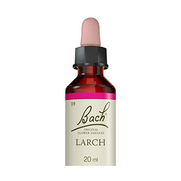 Fleurs de Bach Original, Larch, No 19, pour plus de sûreté, aide à être plus sûr de ses capacités. Elixir floral naturel pour