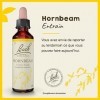 Fleurs de Bach Original, Hornbeam, No 17, pour plus dentrain, aide à ne plus repousser au lendemain. Elixir floral naturel p