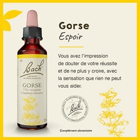 Fleurs de Bach Original, Gorse, No 13, pour plus despoir, aide à être plus optimiste. Elixir floral naturel pour le bien-êtr