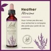 Fleurs de Bach Original, Heather, No 14, pour plus daltruisme, favorise lempathie et lécoute. Elixir floral naturel pour l