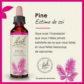 Fleurs de Bach Original, Pine, No 24, pour plus destime de soi, aide à accepter ses erreurs. Elixir floral naturel pour le b
