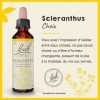 Fleurs de Bach Original, Scleranthus, No 28, pour plus de choix, aide à la prise de décision. Elixir floral naturel pour le b