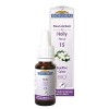 Biofloral Holly 15 Fleur de Bach Elixir Floral du docteur Bach Houx en Compte-Gouttes Equilibre et Calme 20 ml