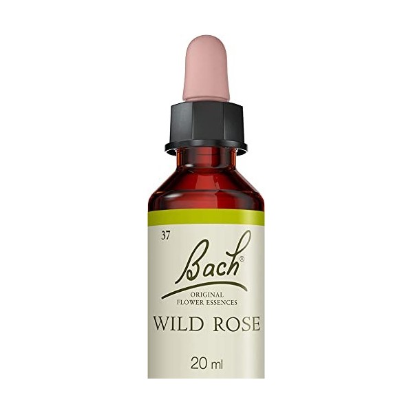 Fleurs de Bach Original, Wild Rose, No 37, pour plus dambition, aide à retrouver de lintérêt. Elixir floral naturel pour le