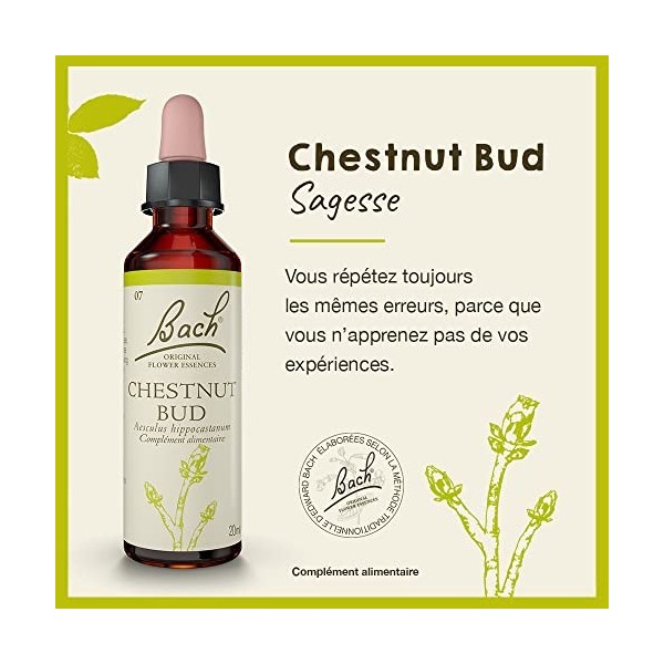 Fleurs de Bach Original, Chestnut Bud, No 7, pour plus de sagesse, aide à tirer les leçons de ses expériences. Elixir floral 