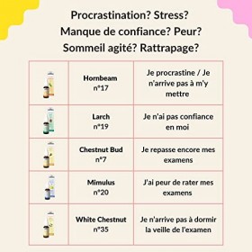 Biofloral Larch 19 Fleur de Bach Elixir Floral du docteur Bach Mélèze en Compte-Gouttes Courage et Espoir 20 ml