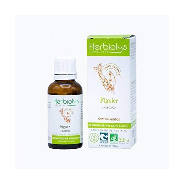 Macérât De Bourgeon Bio | Sans Alcool | Gemmothérapie | Flacon de 30 ml | Herbiolys Figuier 