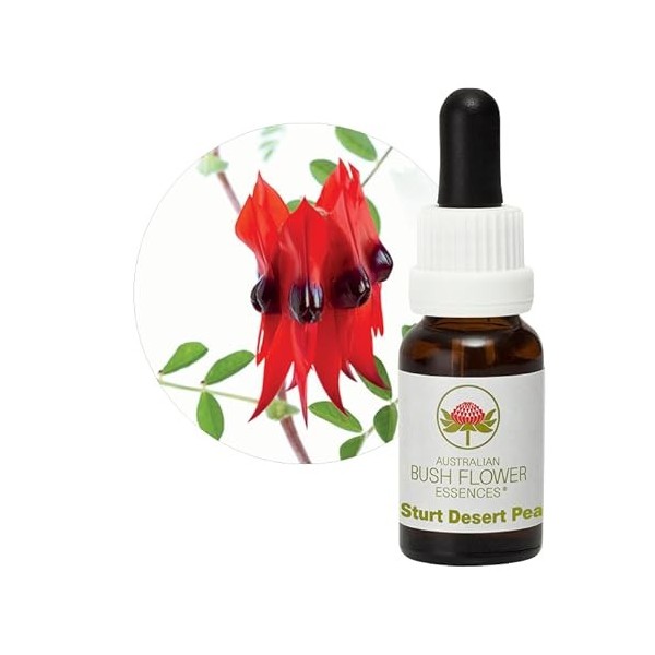 Sturt Desert Pea Stockbottle Essences de fleurs de buisson australien 15 ml