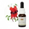 Sturt Desert Pea Stockbottle Essences de fleurs de buisson australien 15 ml