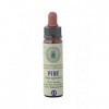 Pine n° 24 Fleurs de Bach Original farmaflor