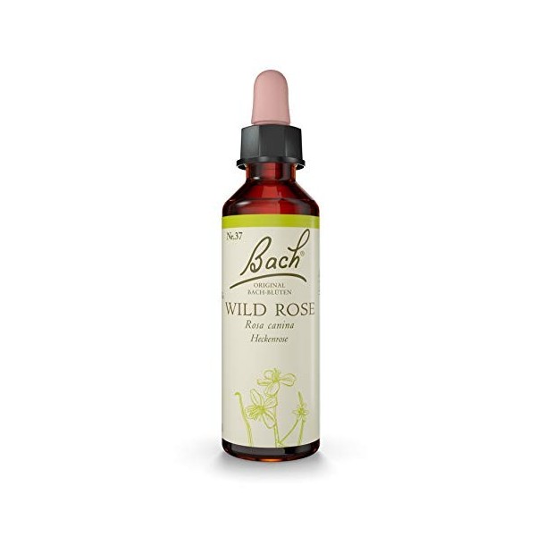 BACHBLUETEN Wild Rose Goutte 20 ml