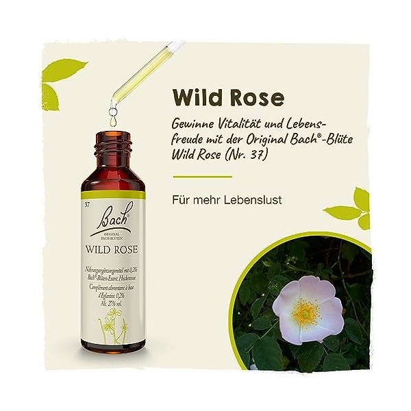 BACHBLUETEN Wild Rose Goutte 20 ml